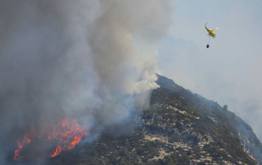 Пожар в Испании. Фото AFP