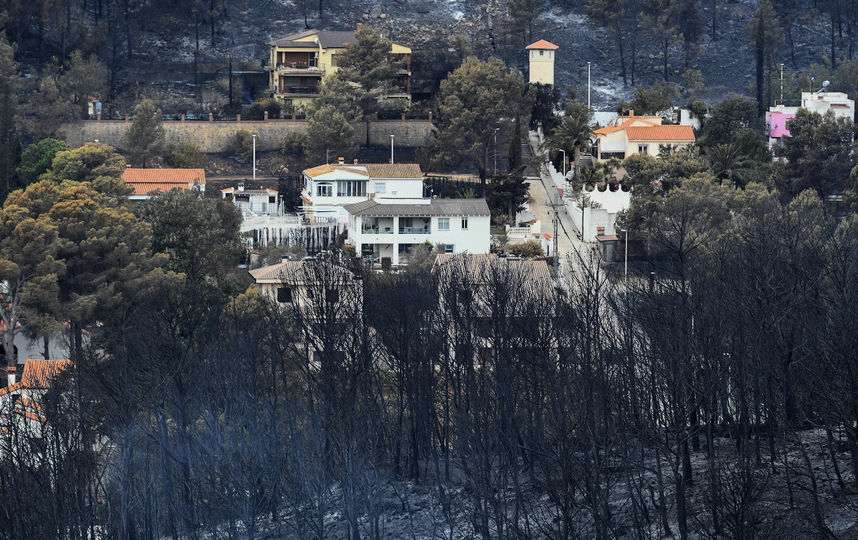 Пожар в Испании. Фото AFP
