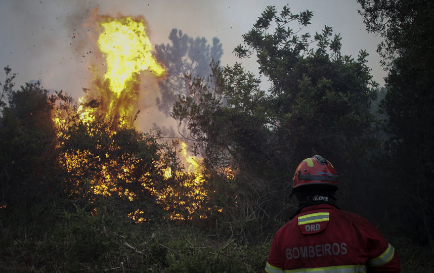 Пожар в Португалии. Фото AFP