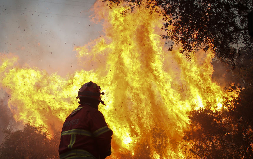 Пожар в Португалии. Фото AFP