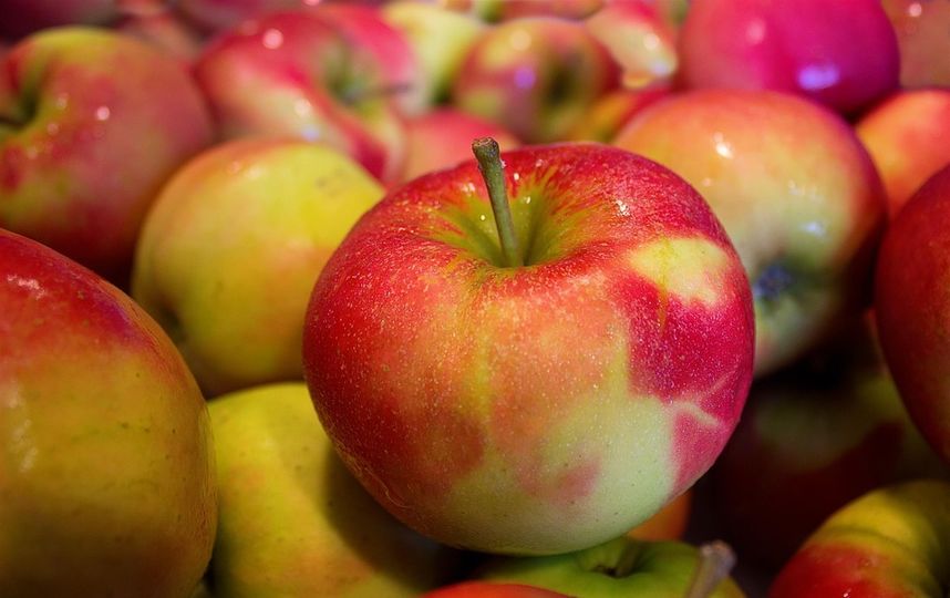 Яблоки содержат много железа и клетчатки и очень полезны. Фото https://pixabay.com