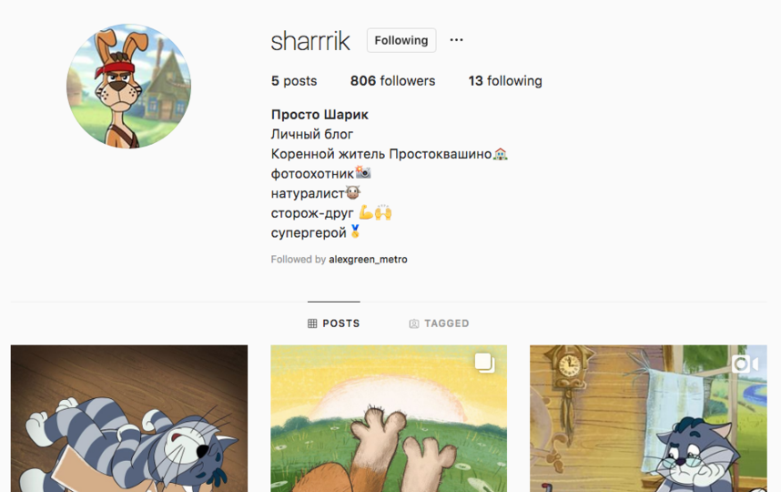 У Шарика из Простоквашино появился Instagram. Фото Скриншот Instagram @sharrrik