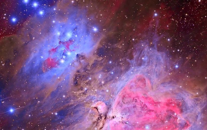 Туманность Ориона. Фото Скриншот Instagram/cosmic.speck