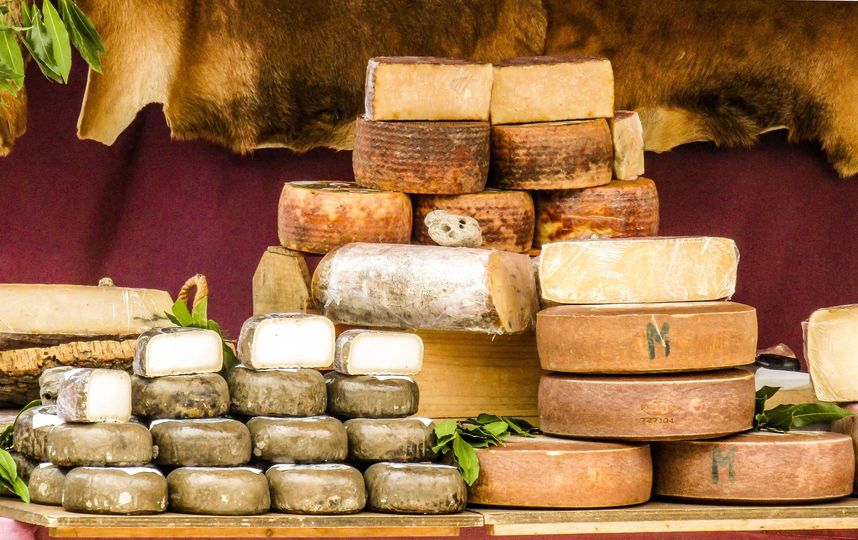 Самый старый сыр в мире оказался полон древних бактерий. Фото Pixabay.com