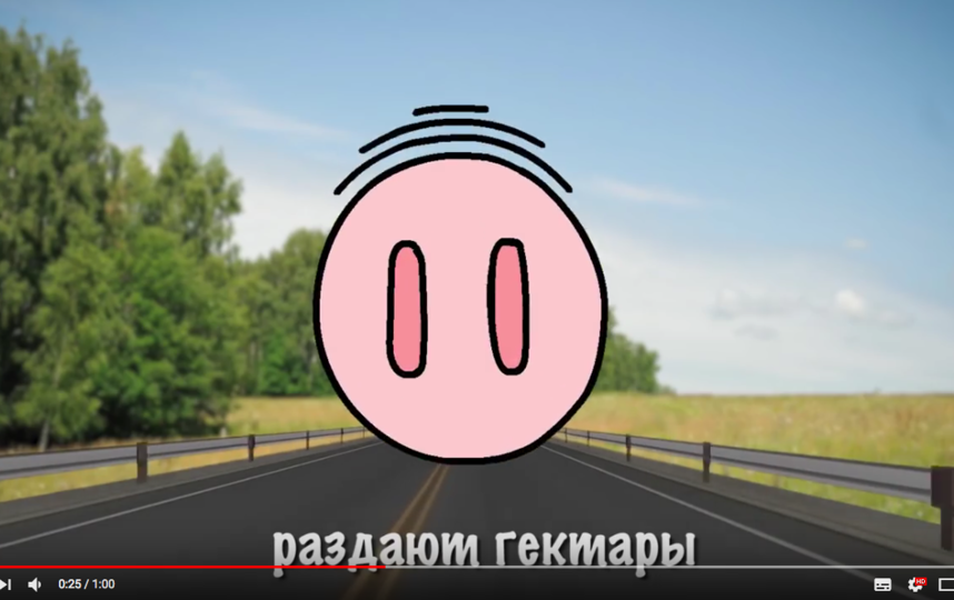 Кадры из клипа про поросенка-хабаровчанина. Фото Скриншот Youtube