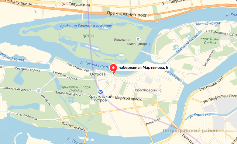 В Петербурге задержан мужчина, который стрелял в прохожих. Фото Скриншот Яндекс. Карты.