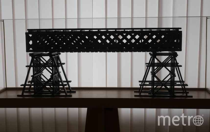 Музей мостов в Красном Селе может лишиться прописки. Фото Святослав Акимов, "Metro"