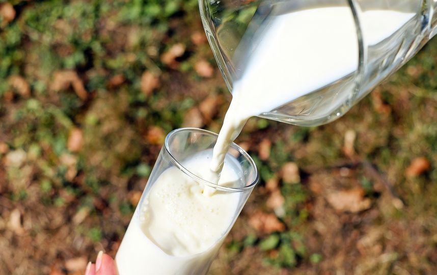 Условия и длительность хранения молока зависят от способа обработки. Фото Pixabay