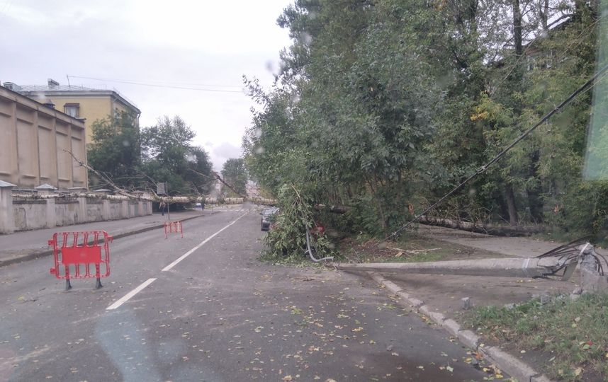 За сутки ветер повалил 194 дерева. Фото ДТП и ЧП | Санкт-Петербург | vk.com/spb_today., vk.com