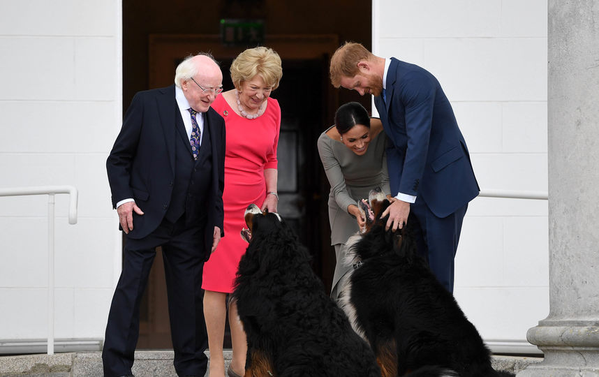 Принц Гарри и Меган Маркл любят собак. Фото Getty