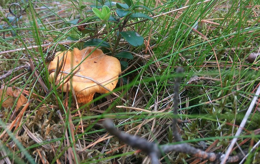 Фото предоставлено Владиславом Бояркиным.