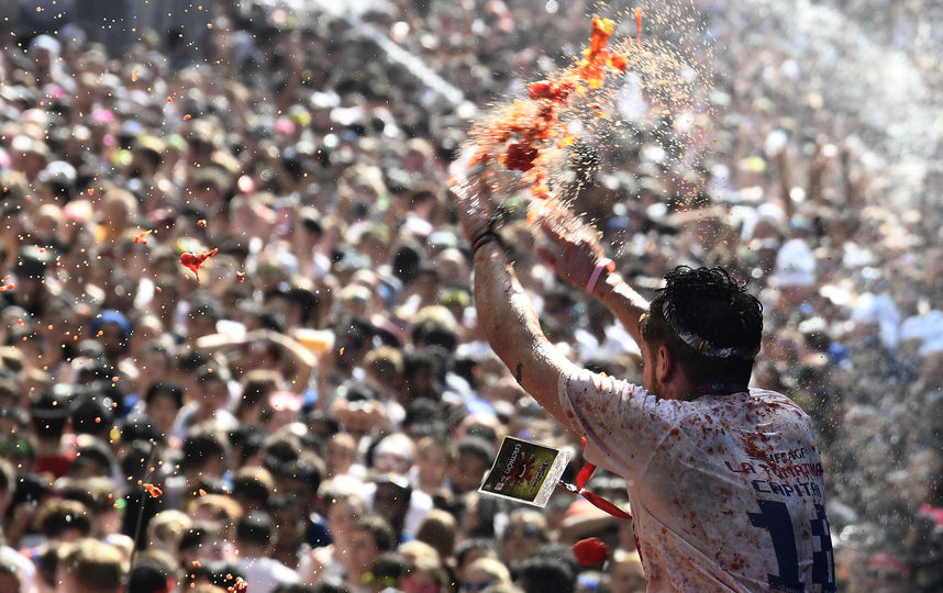 На днях в Испании прошёл фестиваль битвы помидорами – "Томатина". Фото AFP