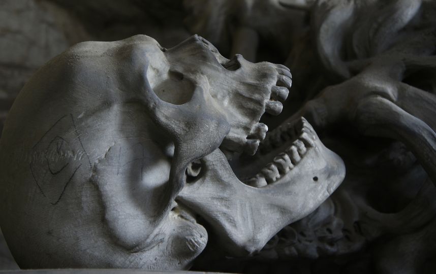 Школьник нашел в Петергофе скелет с золотыми зубами. Фото Pixabay.com