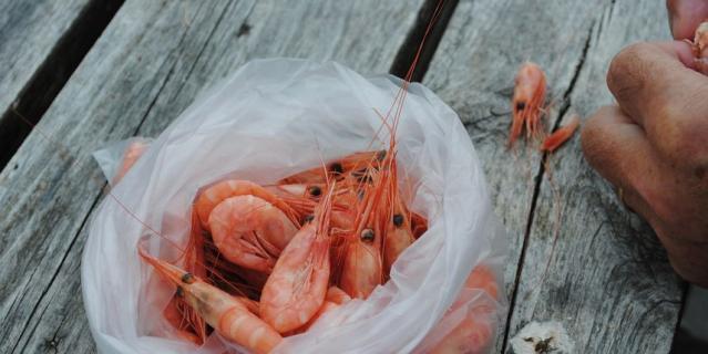 Вес продукта девяти брендов был меньше заявленного на упаковке. Вес продукта девяти брендов был меньше заявленного на упаковке.