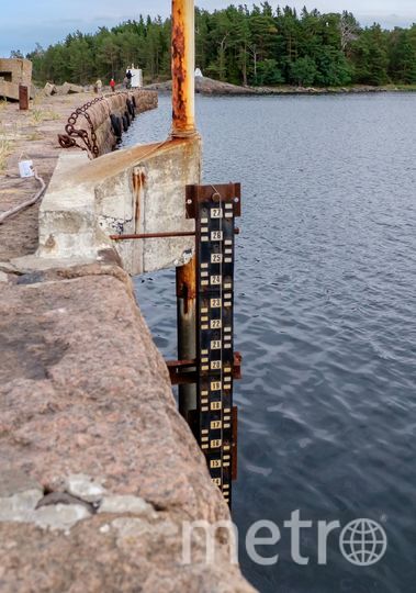 Екатерина измеряет уровень соли в воде Финского залива. Фото Алена Бобрович, "Metro"