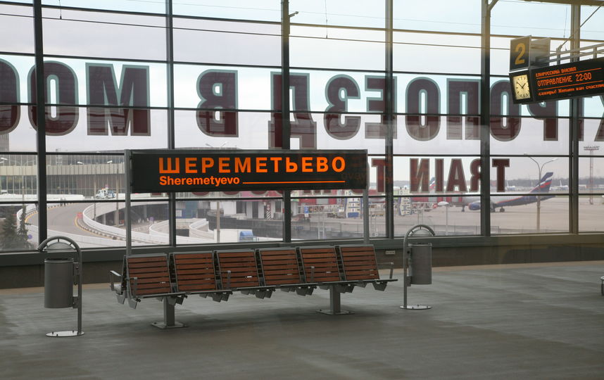20 змей изъяли у пассажира в московском аэропорту Шереметьево. Фото Василий Кузьмичёнок