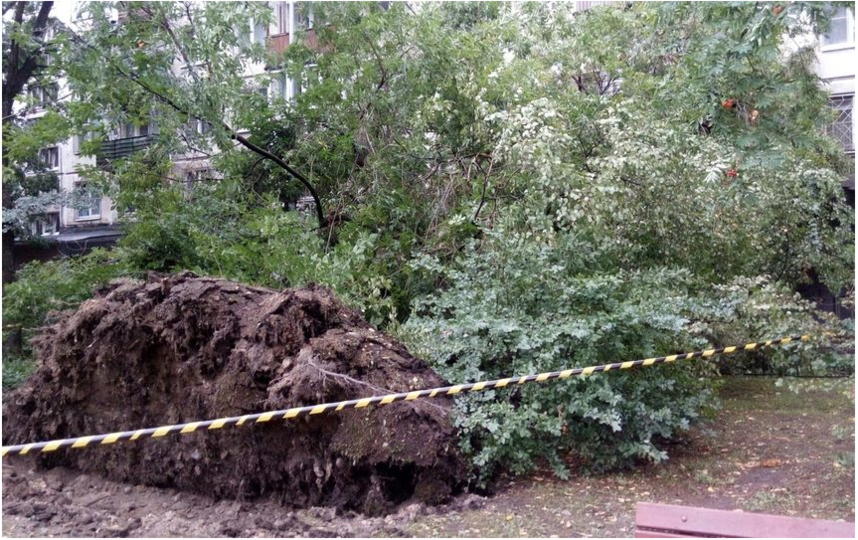Последствия шторма 21 августа. Фото ДТП и ЧП | Санкт-Петербург | vk.com/spb_today., vk.com
