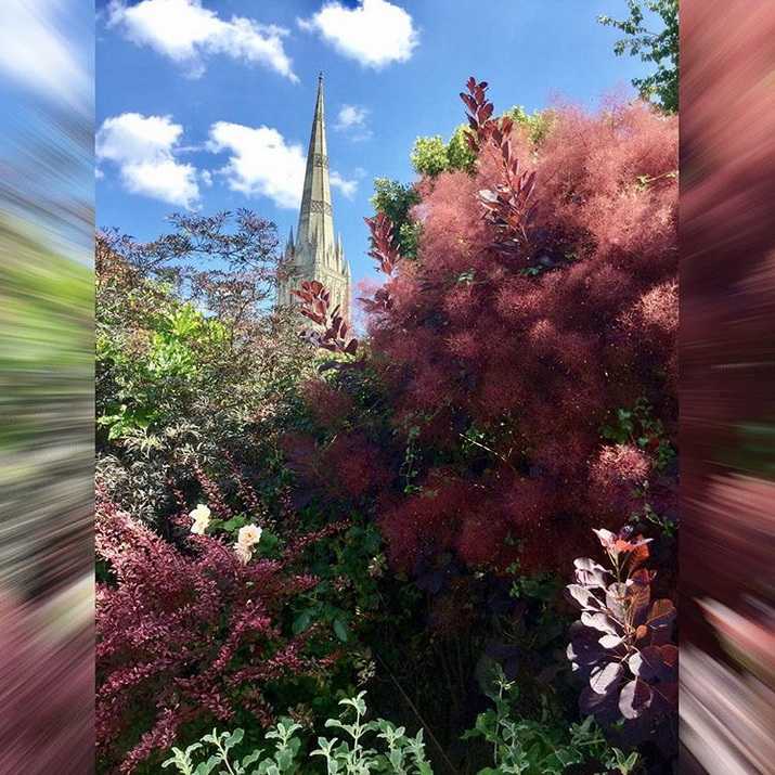 Солсберийский собор. Фото Скриншот Instagram: @svetlanajohnson_londongid