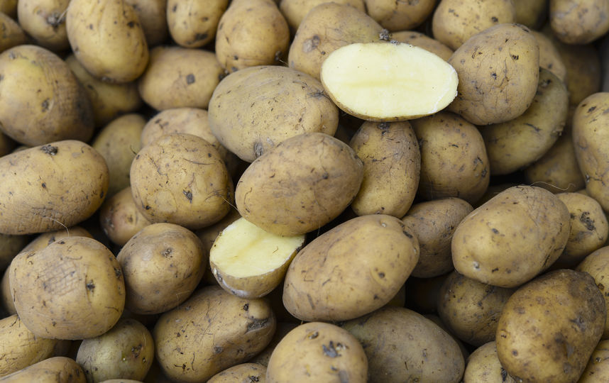 Картофель. Фото Getty