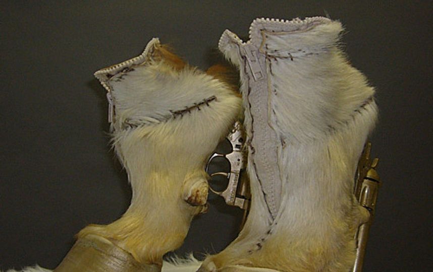 Таксономическая обувь Айрис Шиферстейн. Фото Getty