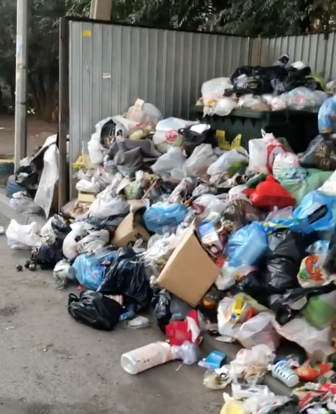 В Челябинске введён режим повышенной опасности из-за мусора, который не вывозили больше недели. Фото Скриншот Instagram @annette_kas.