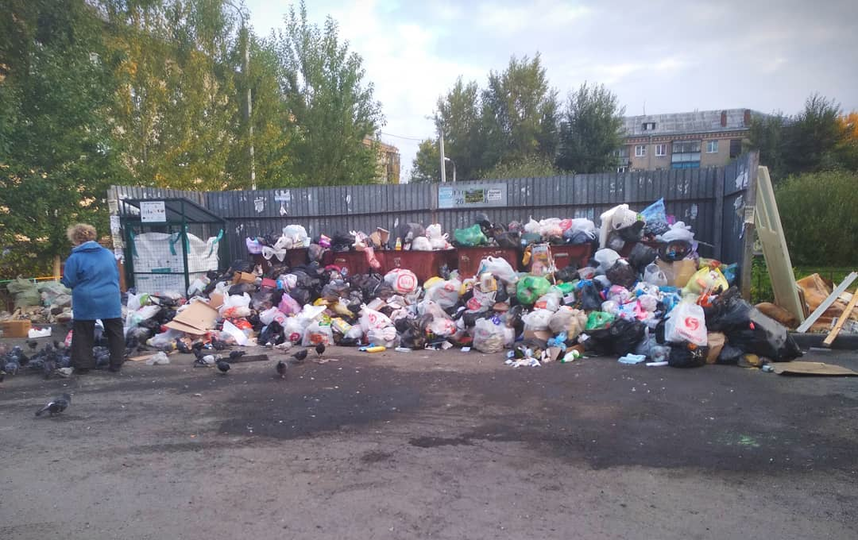В Челябинске больше недели не вывозят мусор. Фото Предоставлено организаторами