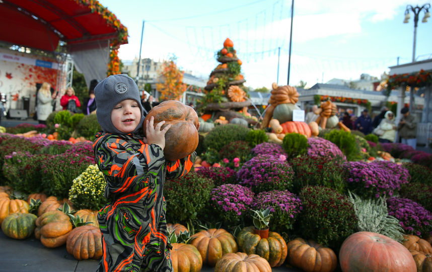 Москву захватили тыквы: в городе начался фестиваль "Золотая осень". Фото Василий Кузьмичёнок