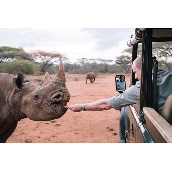 Принц Уильям побывал в Кении. Фото Скриншот Instagram: @kensingtonroyal 
