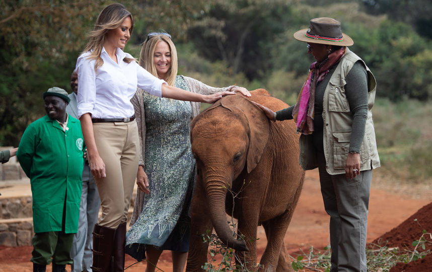 Мелания Трамп в кенийском Национальном парке. Фото AFP