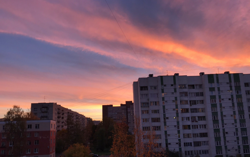 В Петербурге встретили красивый закат. Фото https://vk.com/spb_today