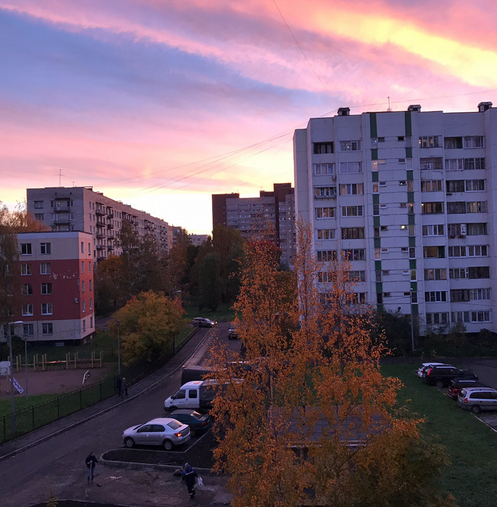 В Петербурге встретили красивый закат. Фото https://vk.com/spb_today
