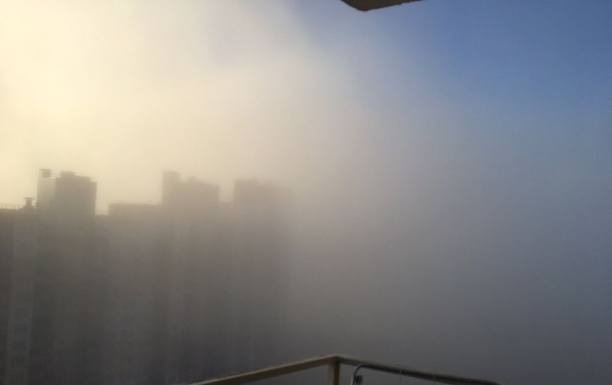Туман в Петербурге 11 октября. Фото Сергей Панасенко | vk.com/spb_today., vk.com