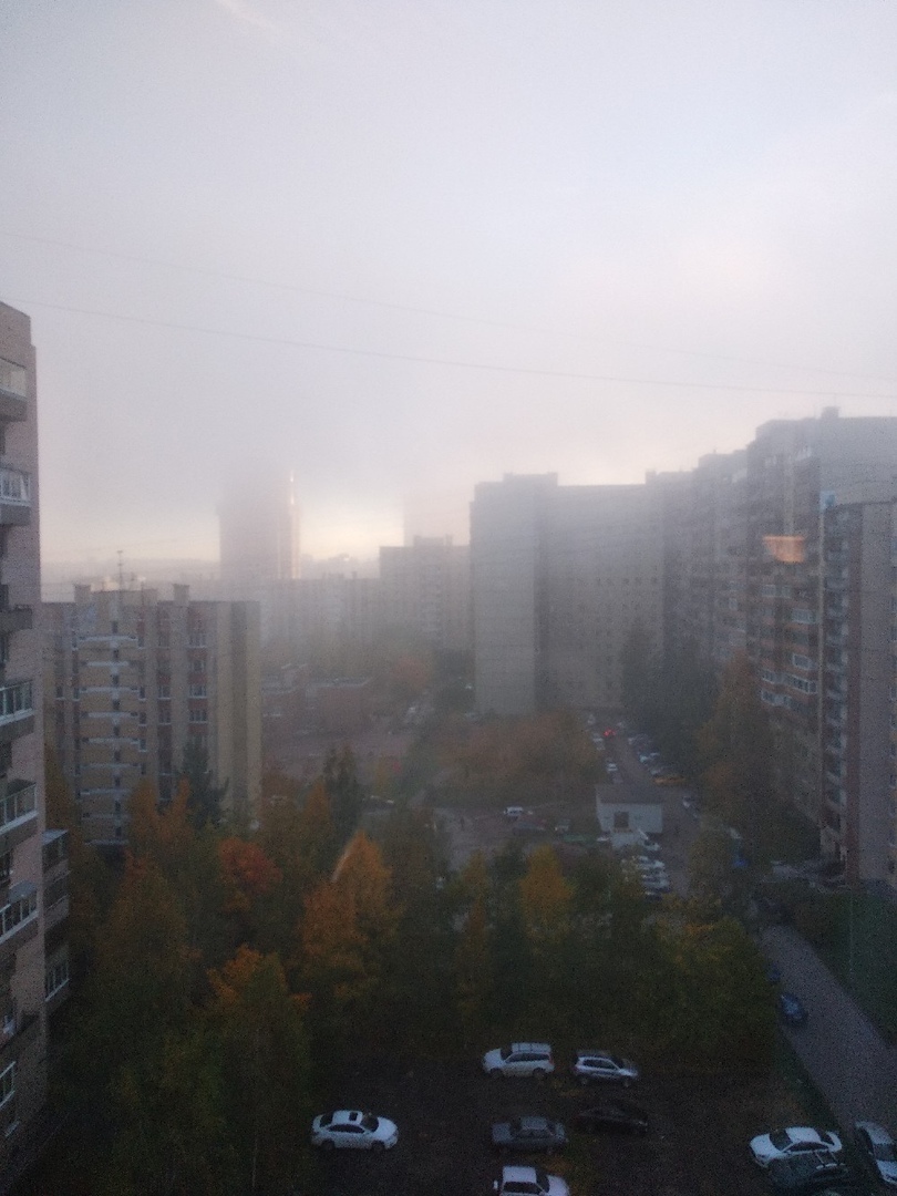Туман в Петербурге 11 октября. Фото Максим Сергеев | vk.com/spb_today., vk.com
