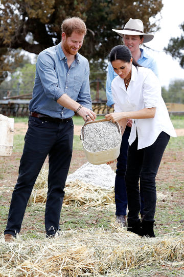 Принц Гарри и Меган Маркл в Австралии на ферме. Фото Getty