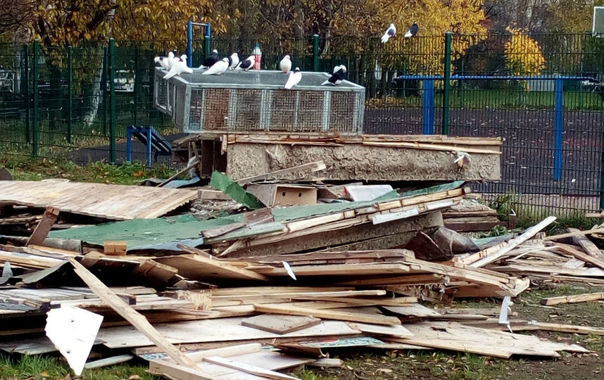 2. Немецкая овчарка