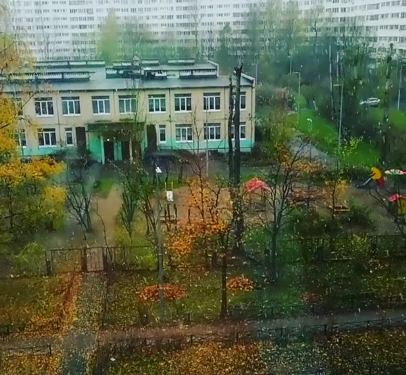 Первый снег в Петербурге: жители делятся фото и видео. Фото скриншот www.instagram.com/evgeniya._.petrova/