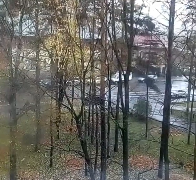 Первый снег в Петербурге: жители делятся фото и видео. Фото скриншот www.instagram.com/ksenia_mixailovna/