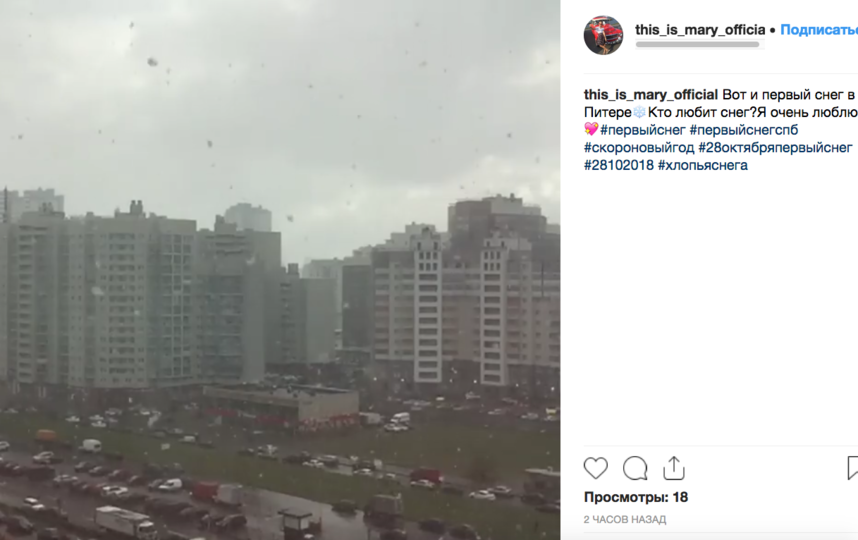 Первый снег в Петербурге: жители делятся фото и видео. 