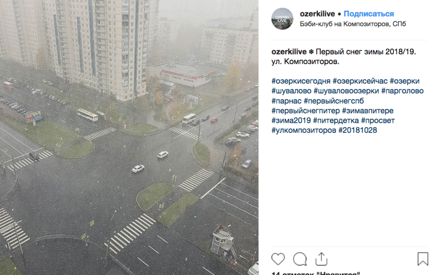 Первый снег в Петербурге: жители делятся фото и видео. 