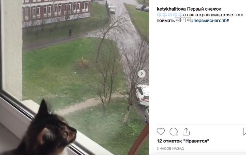 Первый снег в Петербурге: жители делятся фото и видео. Фото скриншот www.instagram.com/ketykhalitova/