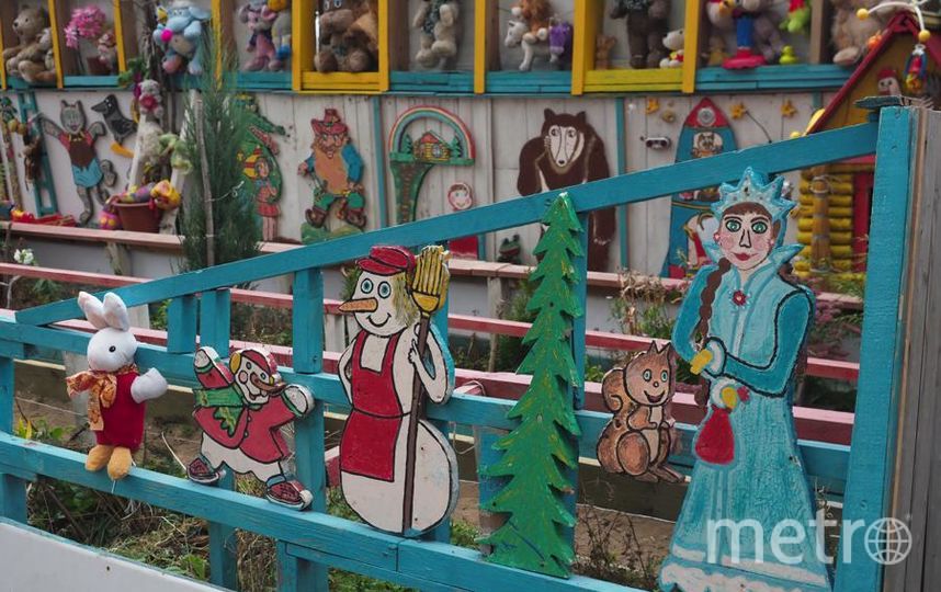 Пенсионеры Кузнецовы построили чудо-садик. Фото Святослав Акимов, "Metro"