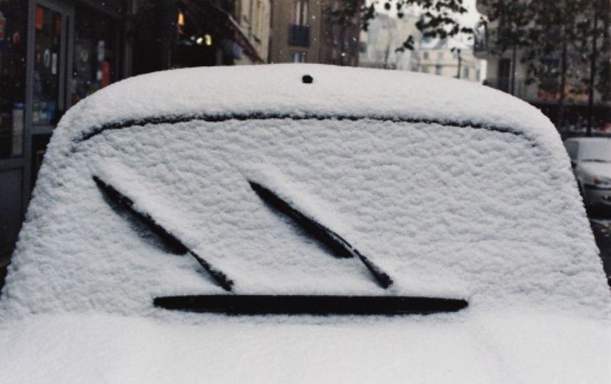 Снега в Петербурге пока нет. Фото Getty