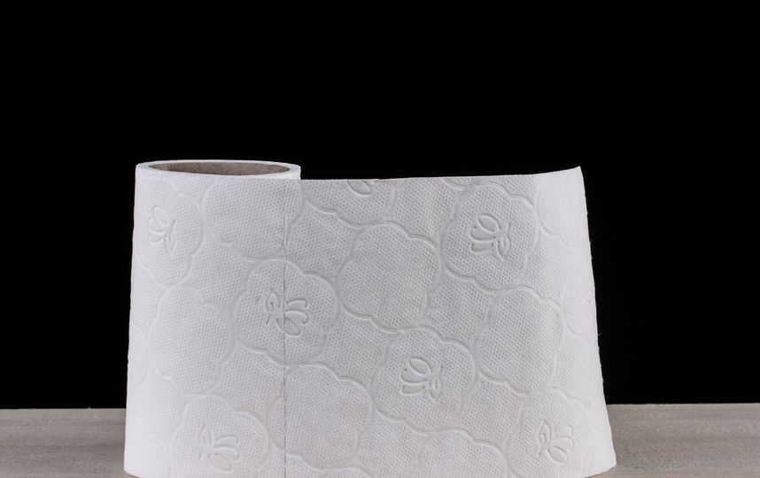 Один из важнейших критериев качества туалетной бумаги - её мягкость. Фото Pixabay