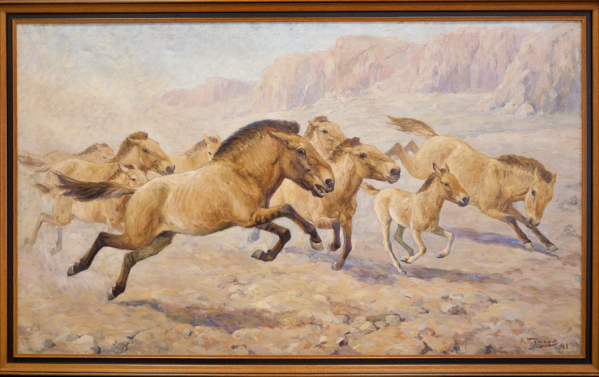 Лошадь Пржевальского. Фото Предоставлено Дарвиновским музеем