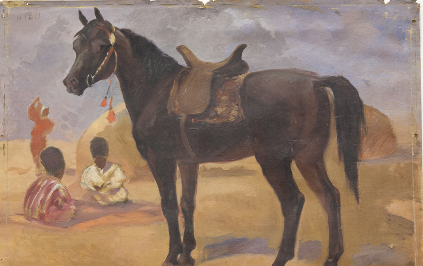 Домашняя лошадь. Фото Предоставлено Дарвиновским музеем