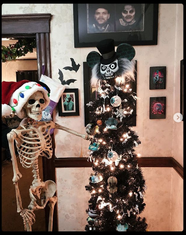 Чёрная ёлка. Фото instagram.com/kreeturefeature Чёрная ёлка. Фото instagram.com/kreeturefeature