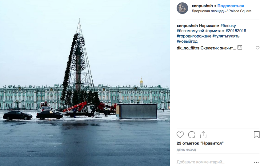 На Дворцовой площади начали собирать главную ёлку города. Фото скриншот www.instagram.com/xenpushsh