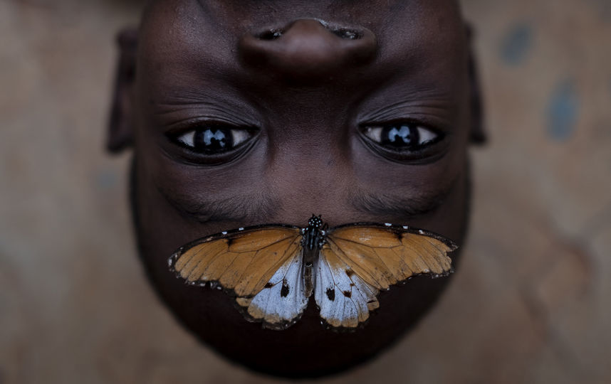 Главный приз в категории «надежда» «Бенсон и бабочка», автор Эмилио Апарисио (Колумбия). Фото Предоставлено организаторами