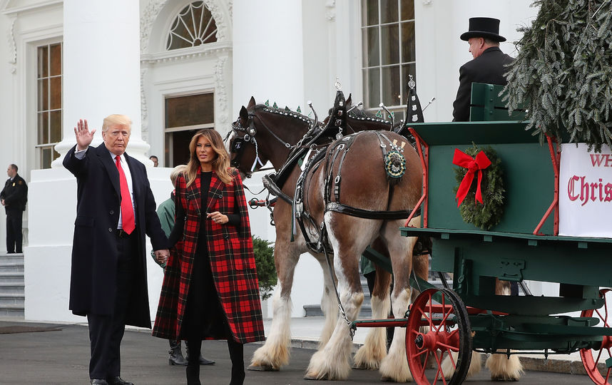 Мелания и Дональд Трамп готовы встречать Рождество. Фото Getty