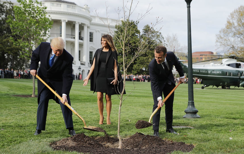 Дональд Трамп и Эммануэль Макрон сажают "деревья дружбы" в саду Белого дома. Фото Getty
